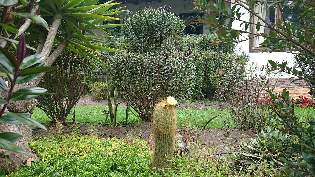 Villa Mimi Otavalo Eksteriør billede